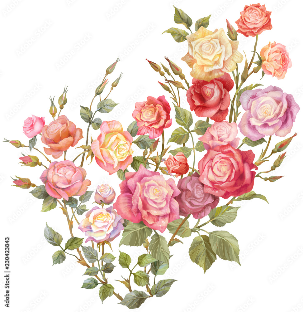 Colorful roses isolated on white background Colorful roses isolated on white background