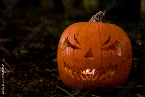scary halloween pumpkin in the forest