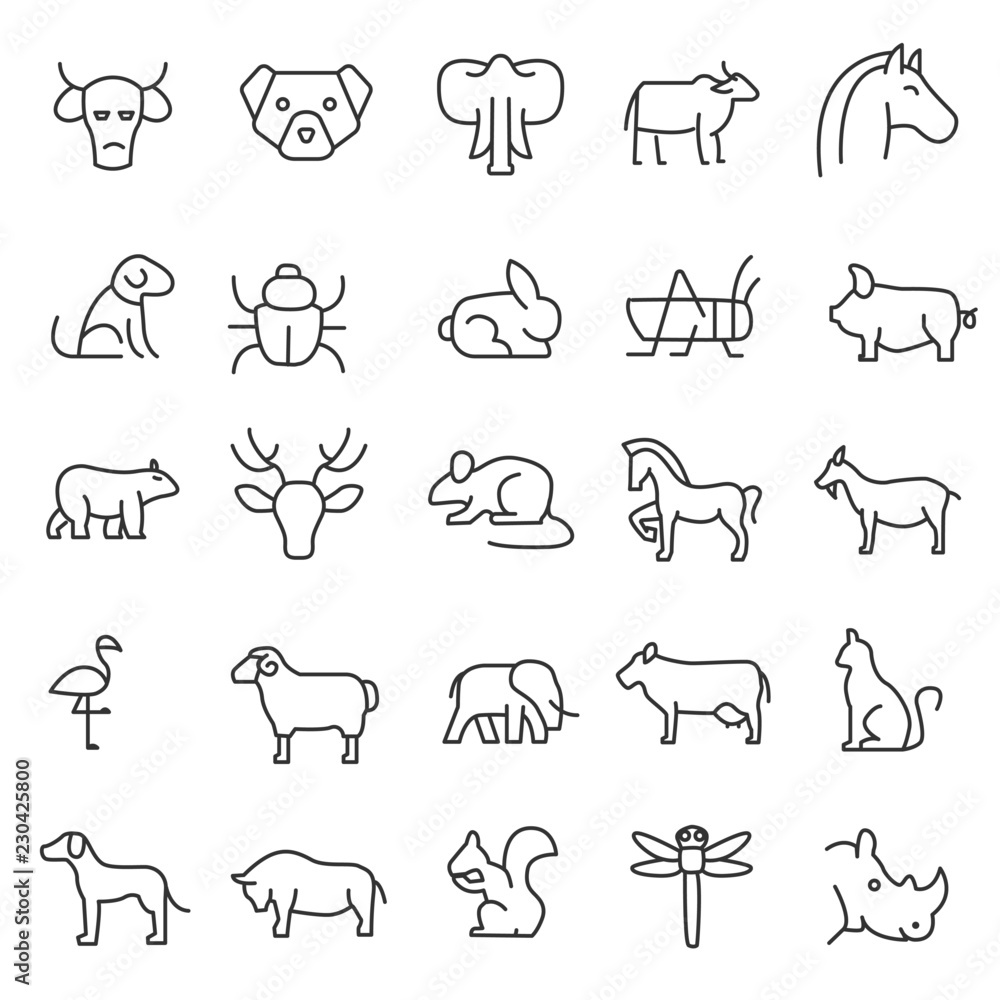 set of animals icon with simple line use for web and zoology infographic,  editable stroke, nature, mammals, predator, insect, fish, wild life Stock  Vector | Adobe Stock