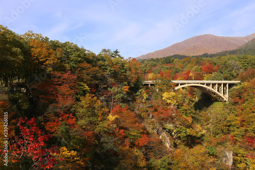 秋の鳴子峡