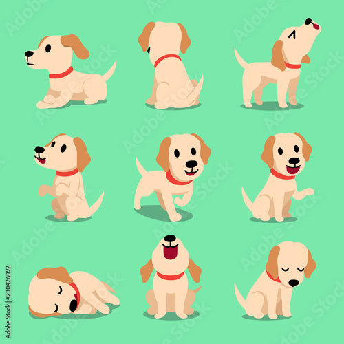 Vector cartoon character labrador dog poses for design.