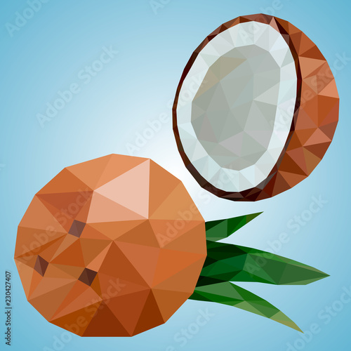 Coconut in polygonal style. Vector fruit