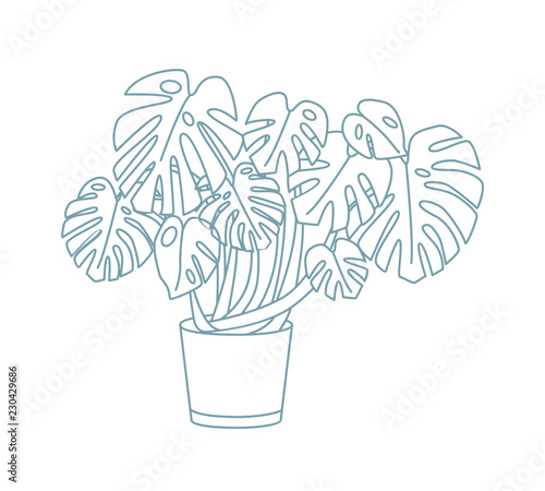 Elegant drawing of monstera growing in pot