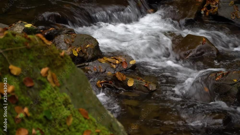 Autumn forest. Forest in the mountains. Mountain river. Stream with cold water. Autumn forest. Forest in the mountains. Mountain river. Stream with cold water.