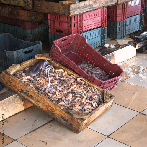 Photography Various shrimps on the market near the sea, the ocean