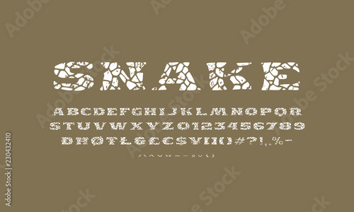 Serif font in the style of handmade graphics