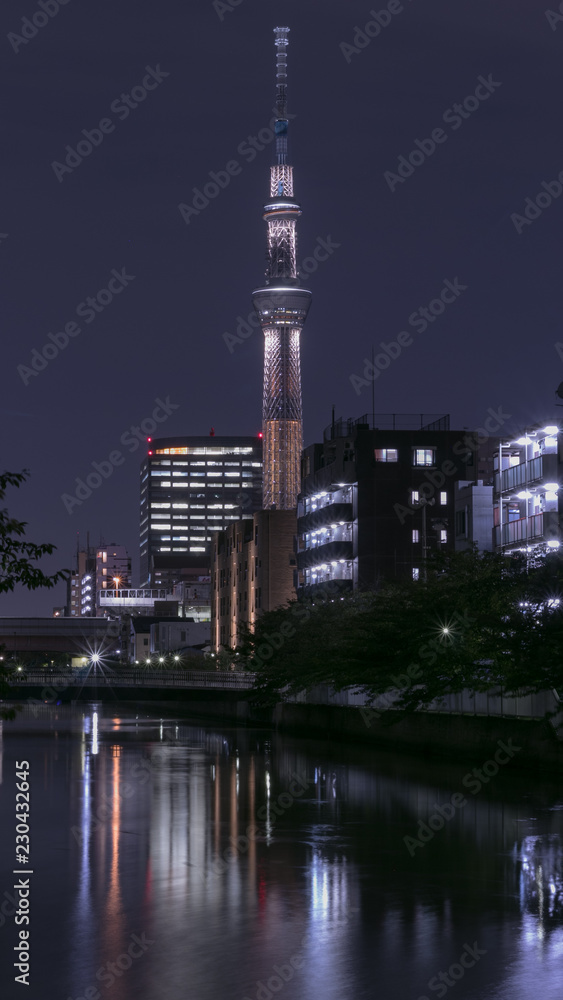 Obraz premium 東京スカイツリー