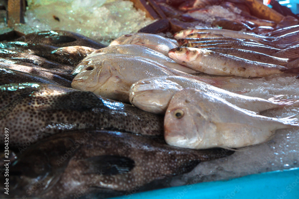 Various fish in the market near the sea, ocean. Old stalls with fresh marine life. Asia culture and traditions. Stock photos Various fish in the market near the sea, ocean. Old stalls with fresh marine life. Asia culture and traditions. Stock photos