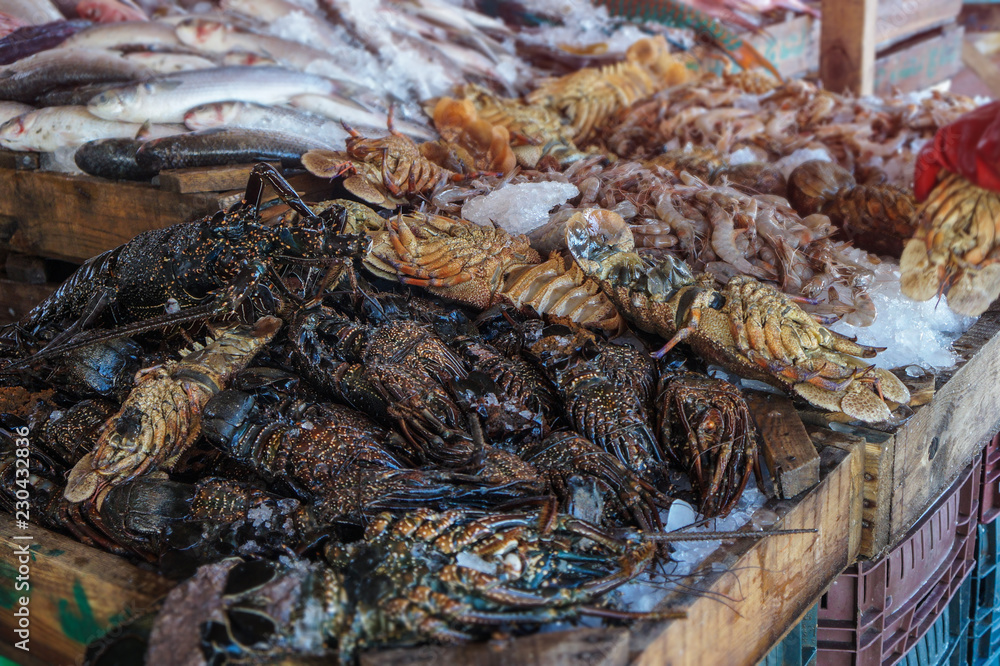 Diverse lobster on the market near the sea, the ocean. Old stalls with fresh marine living crayfish. Asia culture and traditions. Stock photos Diverse lobster on the market near the sea, the ocean. Old stalls with fresh marine living crayfish. Asia culture and traditions. Stock photos