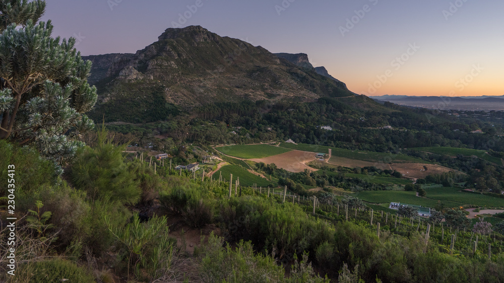 Fototapeta premium Beau Constantia