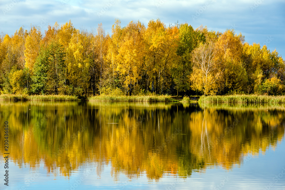 Autumn landscape-the forest on the shore of lake 