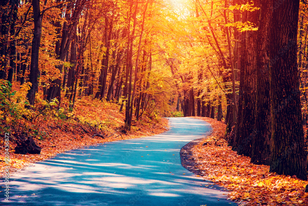 Mystic charming enchanting landscape with a road in the autumn forest and fallen leaves on the sidewalk