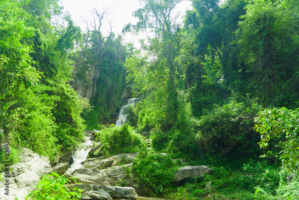 Obraz premium The Mae Sa waterfall. it is beautiful on Doi Suthep at Chiang Mai in Thailand