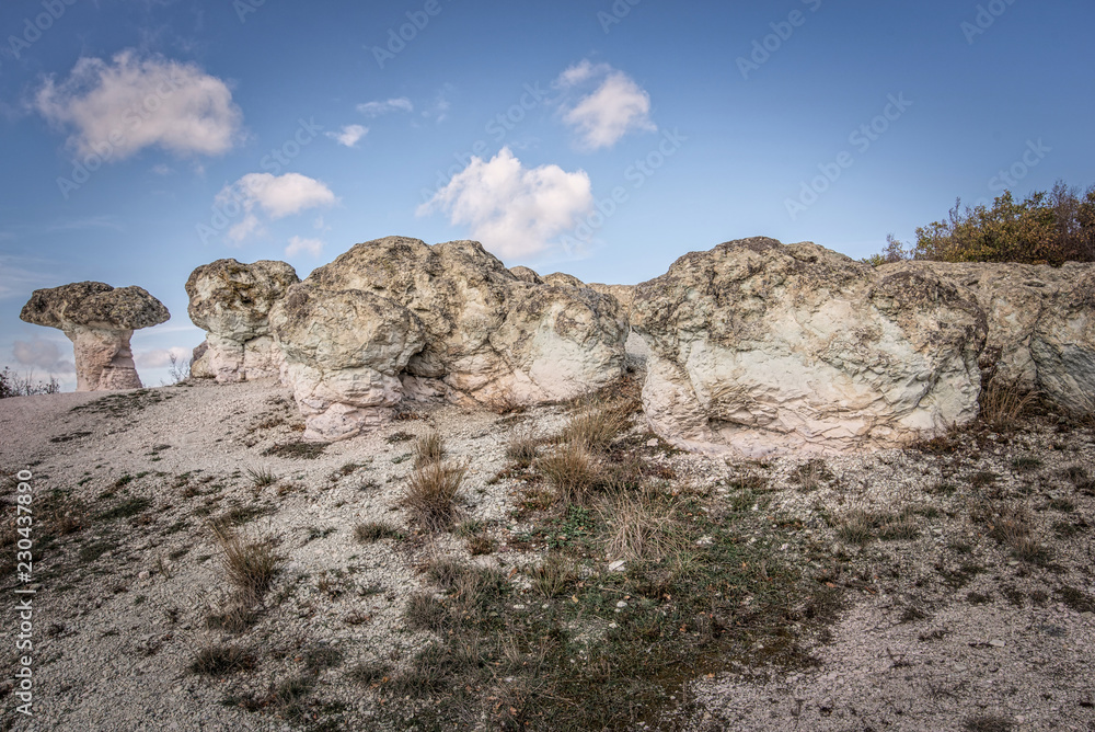 Zeolite natural stone phenomenon. The Stone Mushrooms Zeolite natural stone phenomenon. The Stone Mushrooms