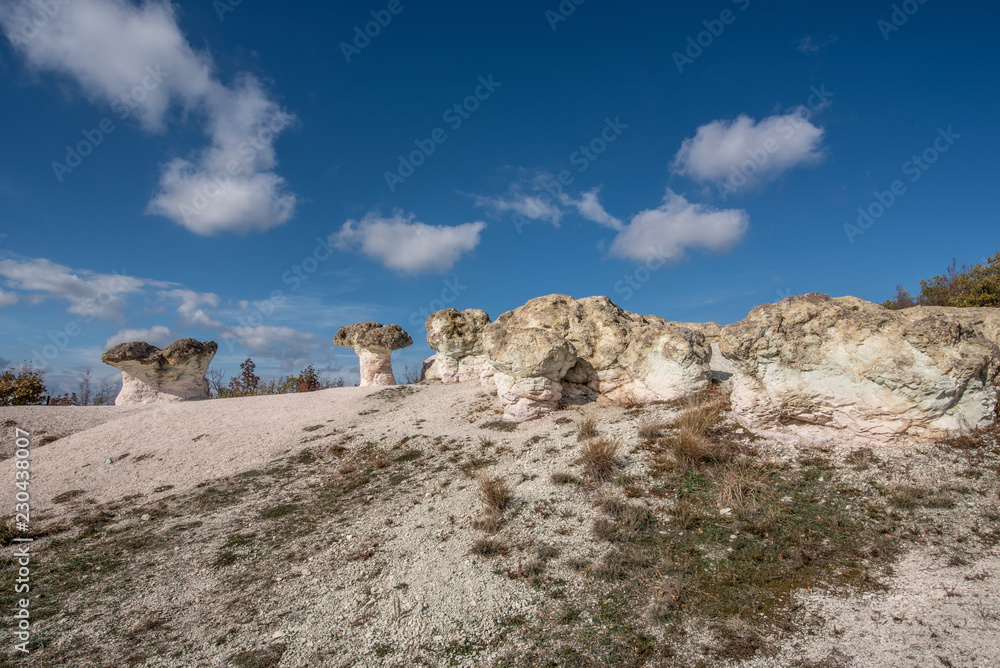 Zeolite natural stone phenomenon. The Stone Mushrooms