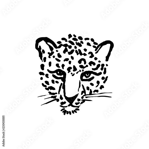 Leopard grunge print. Vector illustration of wild cat head.