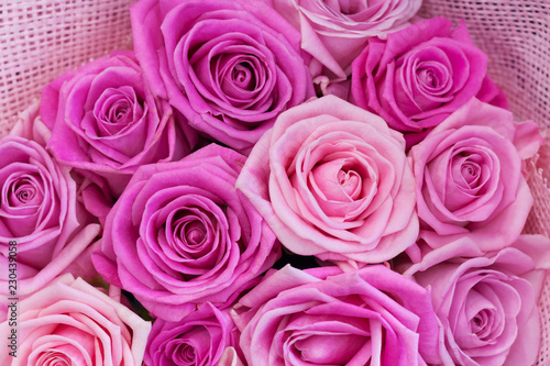 Close up view of a bouquet of pink roses as background  texture