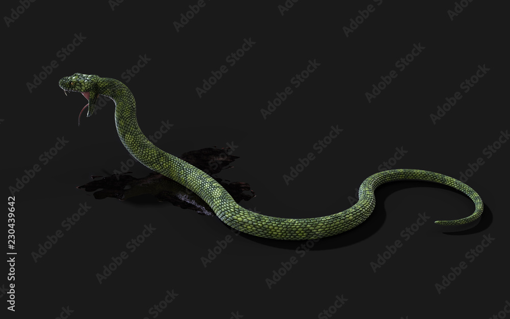 Naklejka premium 3d Illustration Green Giant Fantasy Snake na czarnym tle ze ścieżką przycinającą