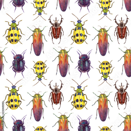 watercolor illustration insects - bugs. hand painting, seamless pattern on a white background