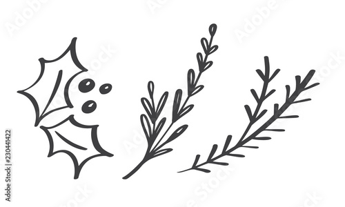 Christmas decorative branch elements design floral leaves in scandinavian style. Vector handdraw illustration for xmas greeting card