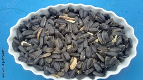 BOL DE GRAINES DE TOURNESOL