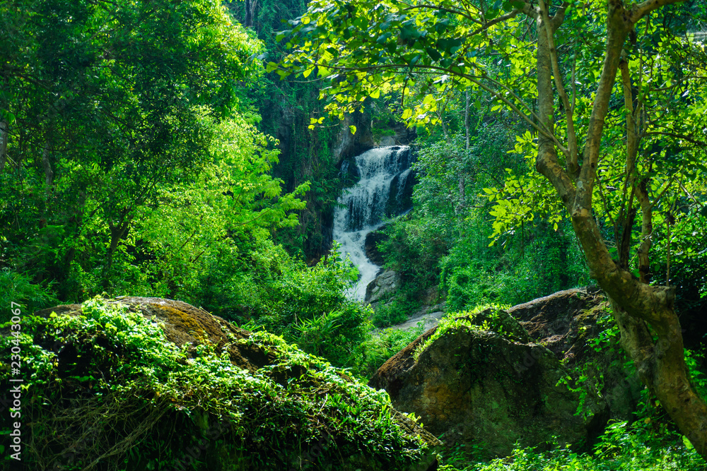 Fototapeta premium The Mae Sa waterfall. it is beautiful on Doi Suthep at Chiang Mai in Thailand