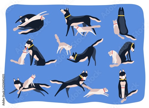 Bundle of dog and cat playing, chasing one another, sitting or lying together. Collection of pair of cute friends. Friendship between pets or domestic animals. Flat cartoon vector illustration.
