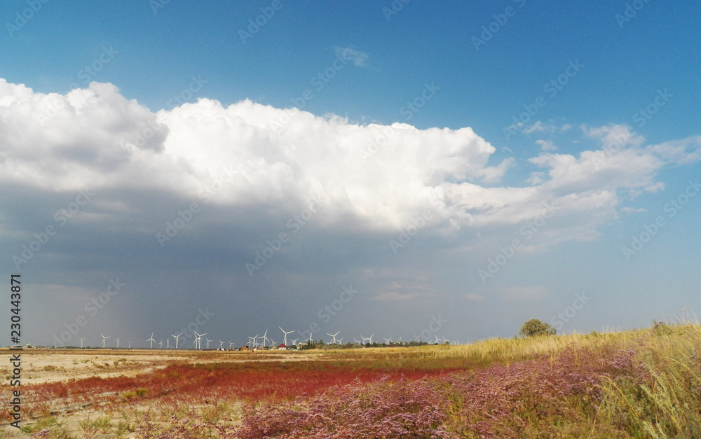 Obraz premium Landscape with windmills on the background of the sky and the field. Wind turbines farm. sandy beach. wind power. ecology