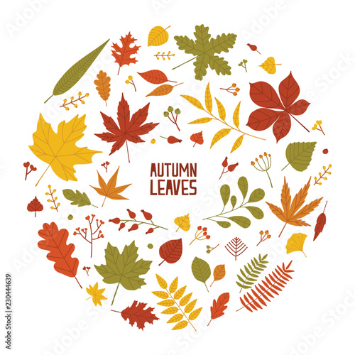 Round autumn composition with dried tree leaves, branches and berries isolated on white background