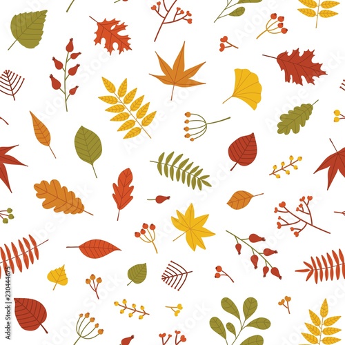 Autumn seamless pattern with fallen tree leaves and sprigs with berries on white background