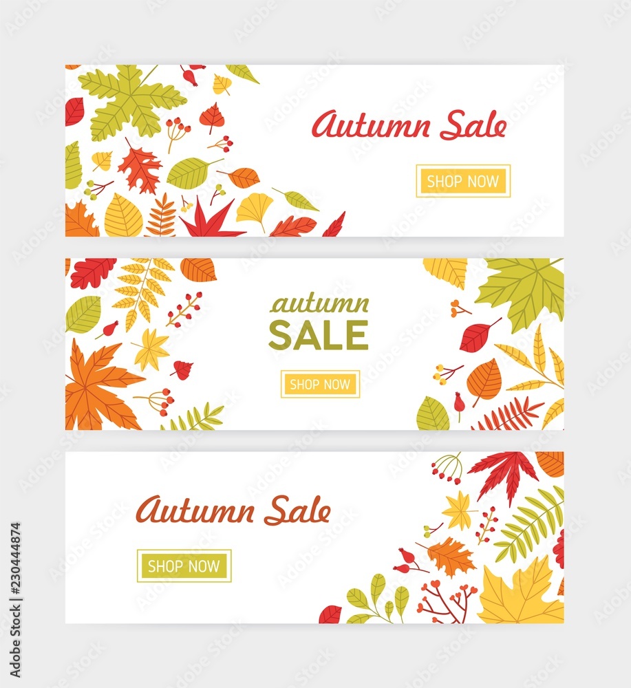 Set of autumn horizontal web banner templates with fallen tree leaves and sprigs with berries on white background. Flat bright colored vector illustration for seasonal sale advertisement, promotion.