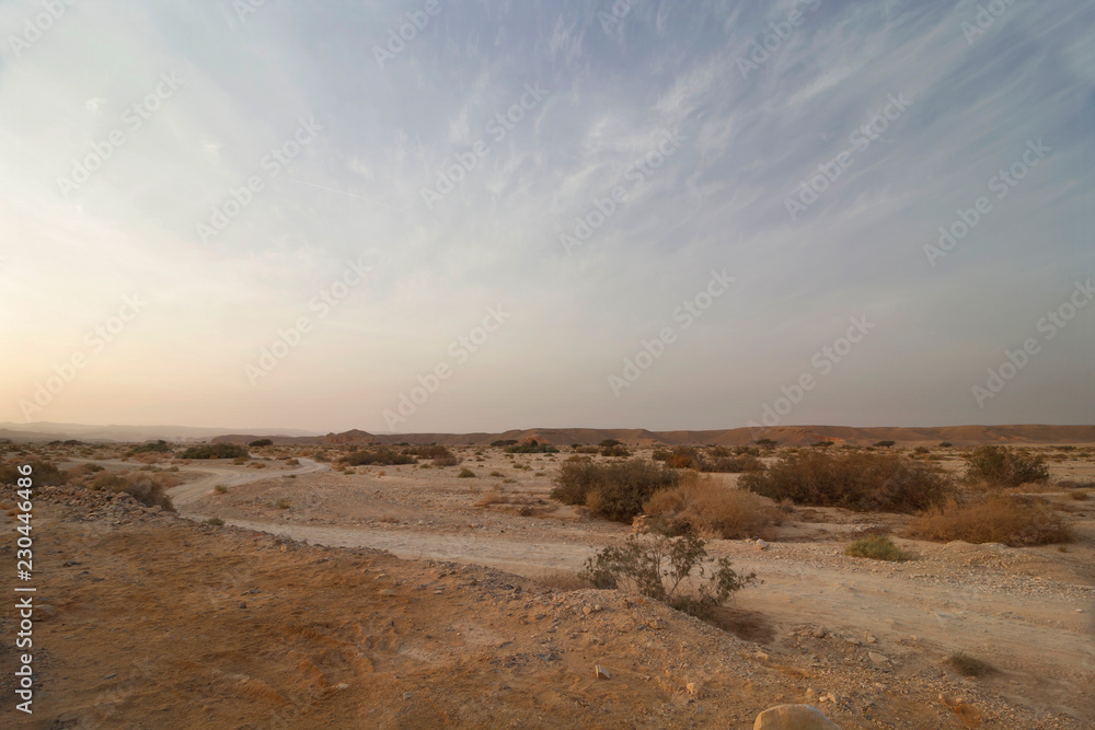 Road in the desert, landscape
