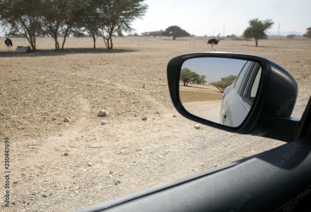 Reflection of desert in the rearview mirror