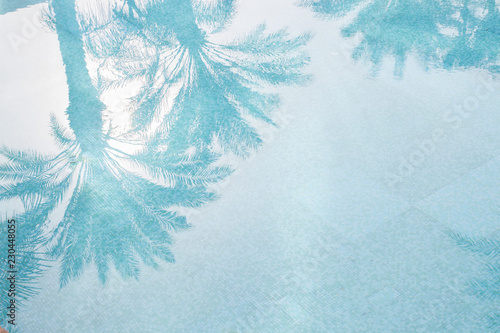 Palms reflection in the waterpool, copy space