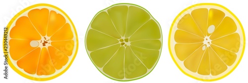 Vector set of citrus fruit lime, orange and lemon. Isolated sliced citrus on white background. Citrus halves