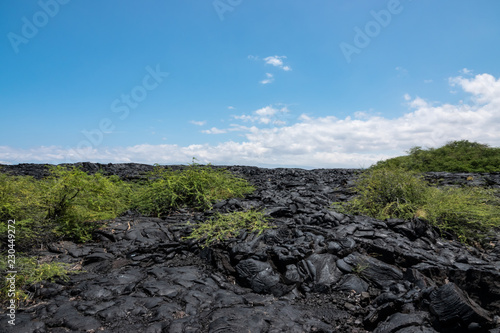 Pahoehoe Lava Field on Hawai'i © Erik