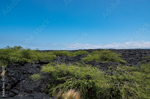 Pahoehoe Lava Field on Hawai'i