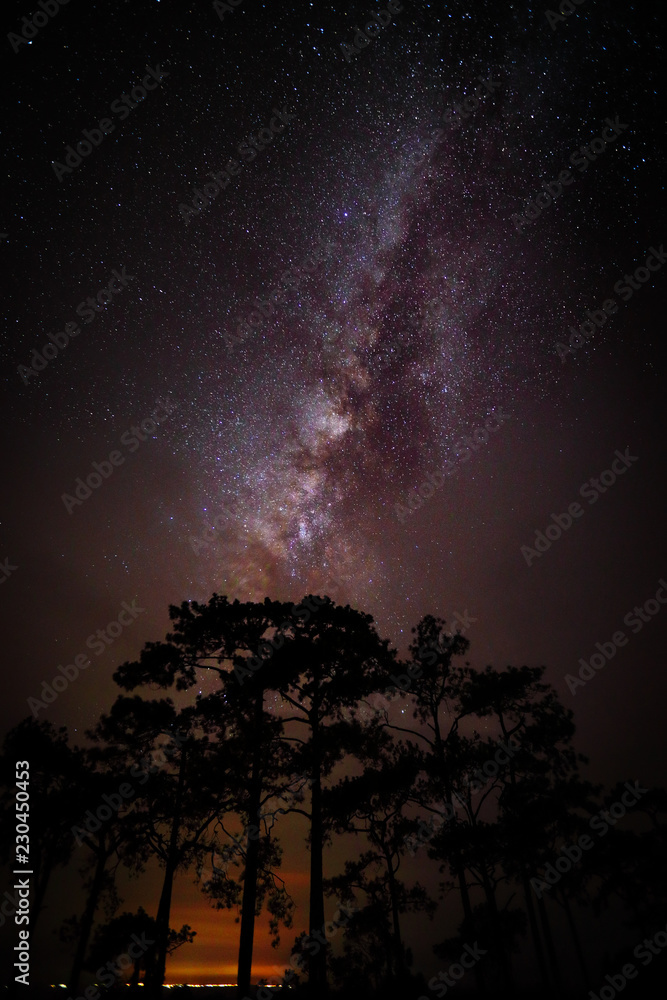 night sky and milkyway night sky and milkyway