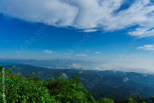 Blue sky and cloud with meadow tree. Plain landscape background for summer poster of thailand.