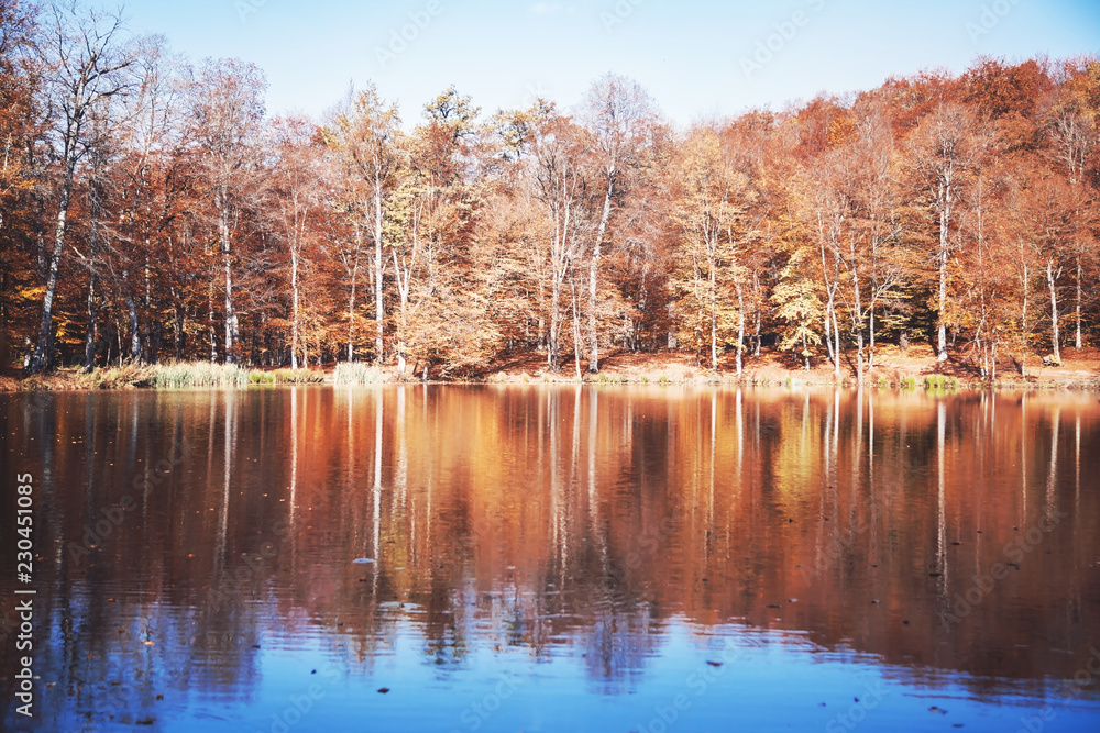 Fototapeta premium Colorful autumn with lake. Autumn Landscape