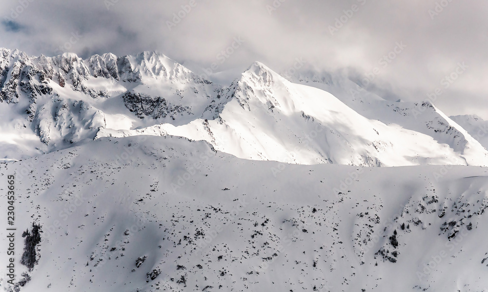 Winter Alpine snowpeak background with ountainous terrain and snow covered trees texture. Bansko, Bulgaria