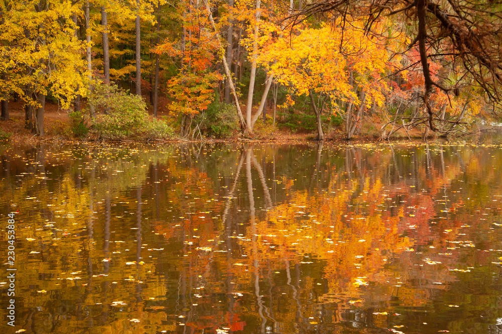 Lake reflection with beautiful Autumn foliage