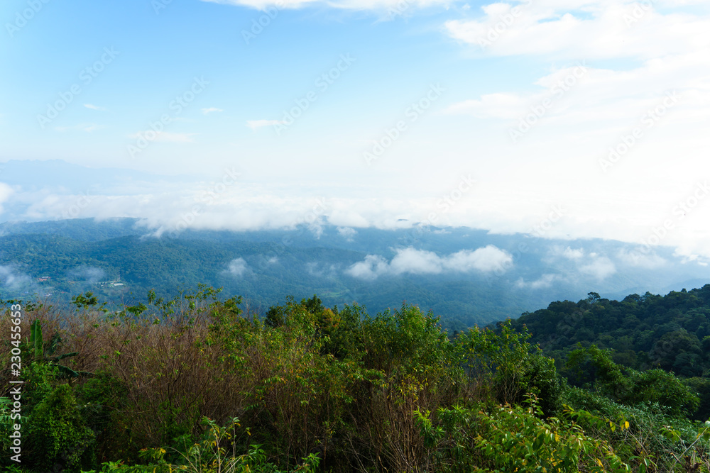 Blue sky and cloud with meadow tree. Plain landscape background for summer poster of thailand. Blue sky and cloud with meadow tree. Plain landscape background for summer poster of thailand.