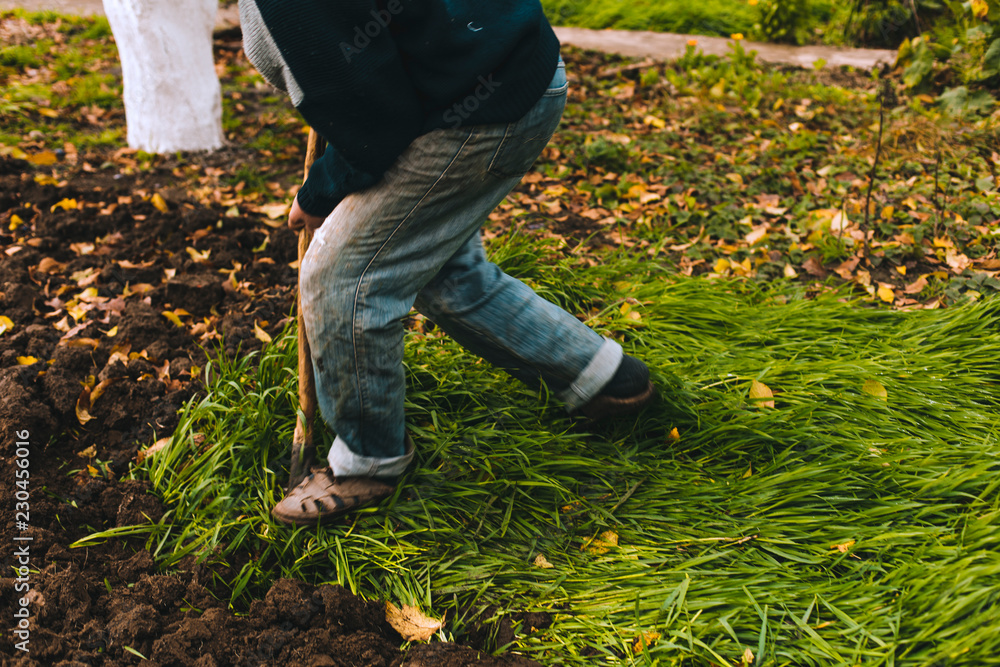 Man digging the garden. Spud the soil. Man digs a hole to plant a tree. Man loosens dirt in the farmland, gardening, agriculture and tough work concept Man digging the garden. Spud the soil. Man digs a hole to plant a tree. Man loosens dirt in the farmland, gardening, agriculture and tough work concept
