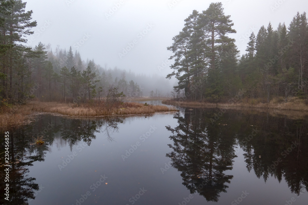 Obraz premium foggy landscape over water autumn in sweden