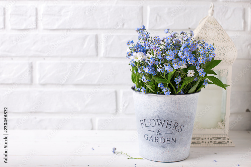 Floral background - blue forget-me-nots or myosotis flowers in grey bucket and candles in lanterns on white wooden background. Floral background - blue forget-me-nots or myosotis flowers in grey bucket and candles in lanterns on white wooden background.