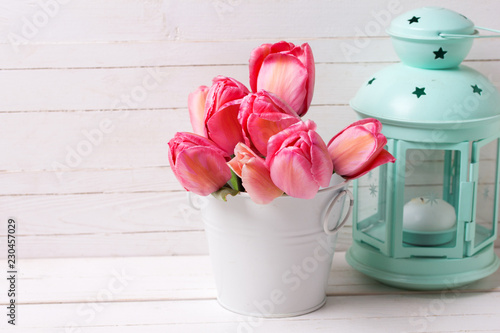 Fresh pink tulip flowers in white color bucket and decorative mint  lantern on wooden  background.