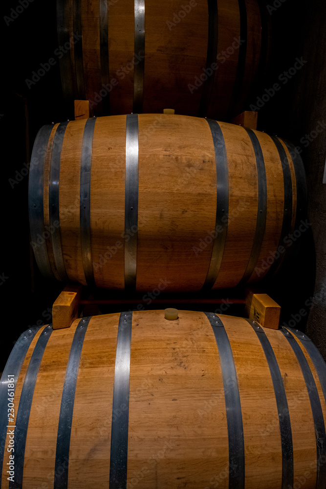 wine barrels in cellar