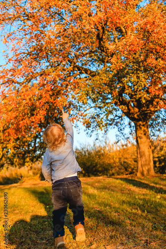 little girl in autumn park © Niklas