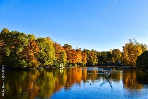 Wallpaper Mural Golden autumn with pond Torontodigital.ca